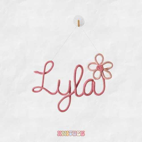Large Personalised Name Knitted Wire Decor
