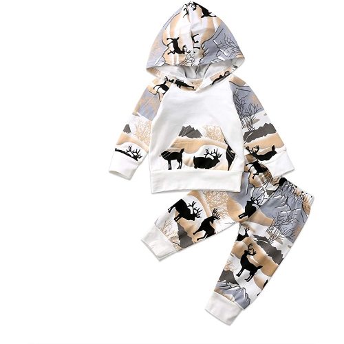 2Pcs Baby Boys Hoodie Tops Pants Set Dinosaur Deer Print Sweatsuit Fall Winter Outfits