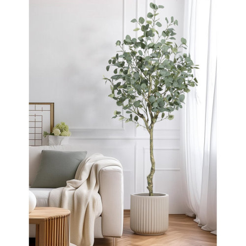 Primrue Eucalyptus Tree Artificial With Silver Dollar Leaves | Wayfair