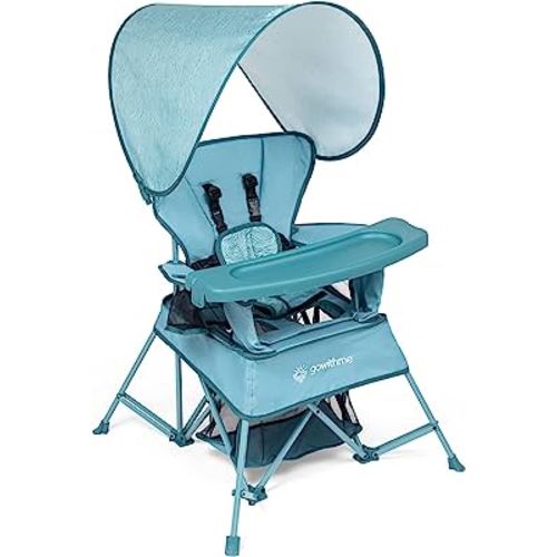 Baby Delight Go with Me Venture Portable Chair | Indoor and Outdoor | Sun Canopy | 3 Child Growth Stages | Blue Wave