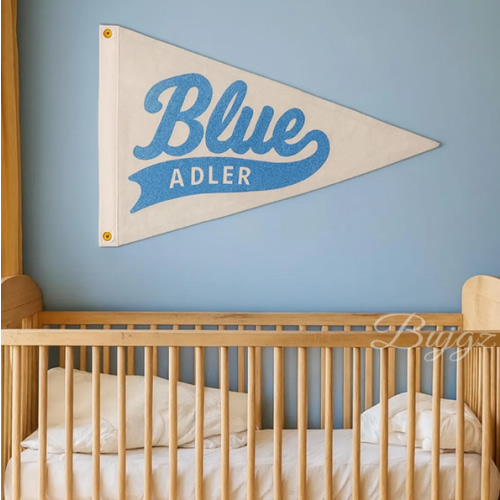 Custom Embroidered Name Pennant: Nursery Canvas Banner