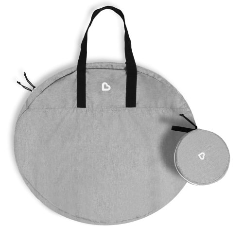 Swing Travel Case
