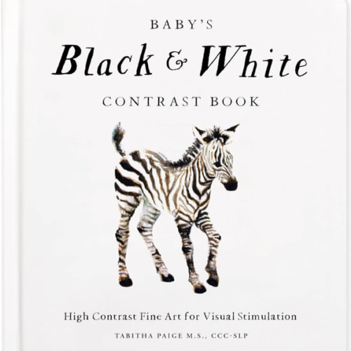 Baby's Black and White Contrast Book: High-Contrast Art for Visual Stimulation at Tummy Time (Our Little Adventures Series)
