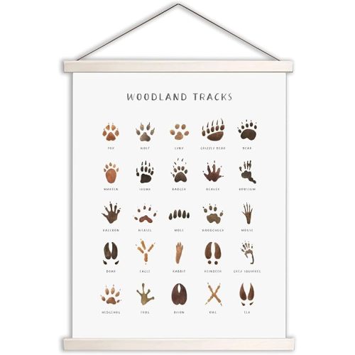 Woodland Tracks Hanging Poster, Canvas Artwork - Forest Animal Tracks Field Guide Sign, Boy & Jungle Nursery Wall Decor - 16x20 Inch