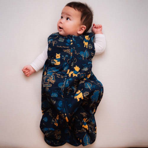 DISNEY WINNIE THE POOH SLEEP BAG