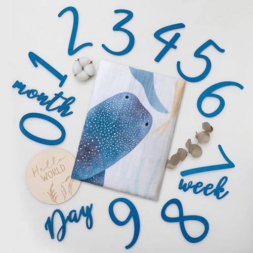 Ocean Baby Milestone Blanket – Monthly Baby Milestone Photo Prop for Boy, Under The Sea Growth Tracker Blanket with Hello World Sign and Registry Must-Have