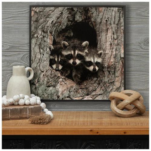 Raccoon Family Framed Wood Wall Decor
