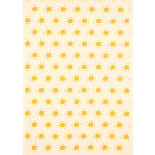 You Are My Sunshine Blanket