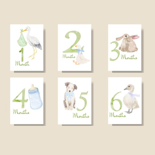 Watercolor Baby Milestone Cards: Linen Cardstock, Newborn Photo Props