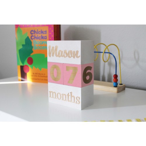 Baby Milestone Blocks, Custom Baby Milestone Blocks, Baby Milestone Markers, Baby Blocks, Children's Photo Props, Baby Shower Gifts