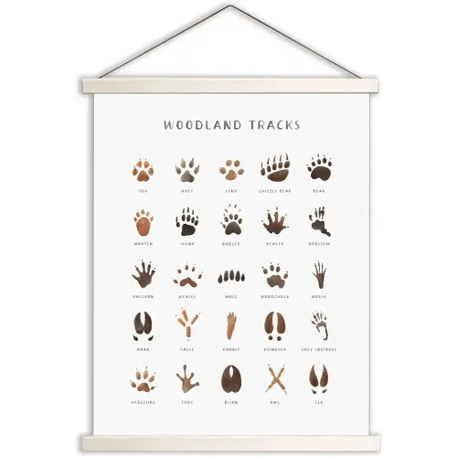Woodland Tracks Hanging Poster, Canvas Artwork Woodland Nursery Decor 16x20 Inch, Animal Tracks Field Guide Sign, Forest Nursery Decor, Boy Nursery Wall Decor, Jungle Nursery Decor For Kids