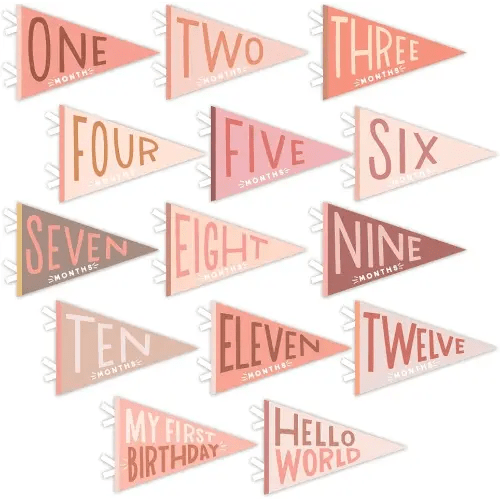 Lucy Darling Petit Milestone Pennants, 12 Felt Baby Monthly Milestone Banners for Baby Girl & Boy, Newborn Photography Props & Decor, Felt Pennant Flags, Perfect Baby Shower Gifts (Blushing Meadow)