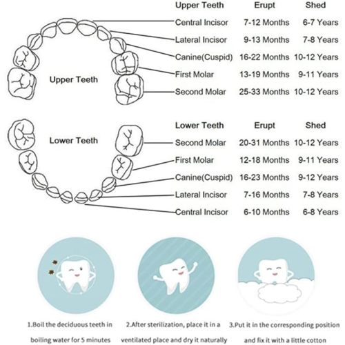 Baby Tooth Keepsake Box,Tooth Fairy Box,Wooden Tooth Box ,Baby Keepsake Storage Box,Tooth Saver,Tooth Holder for Kids Teeth,Tooth Boxes for Lost Teeth for Kids,Newborn Baby Birthday and Shower Gift - Girl