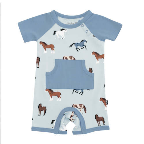 Shortall in Horse