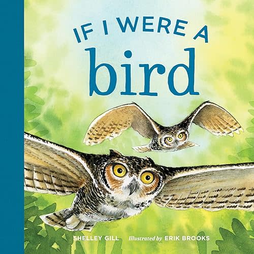 If I Were a Bird Board book – February 19, 2019
