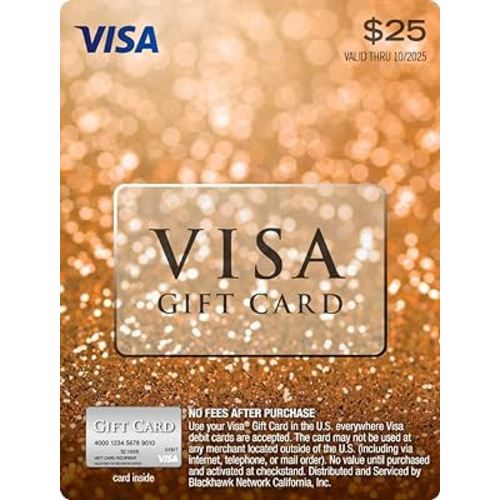 Visa $25 Gift Card (plus $3.95 Purchase Fee)