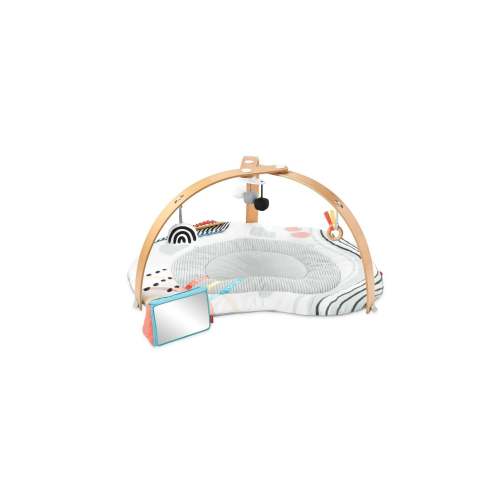 Skip Hop Discoverosity Play Gym