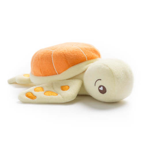 Taylor the Turtle