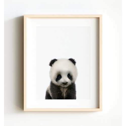Baby Panda