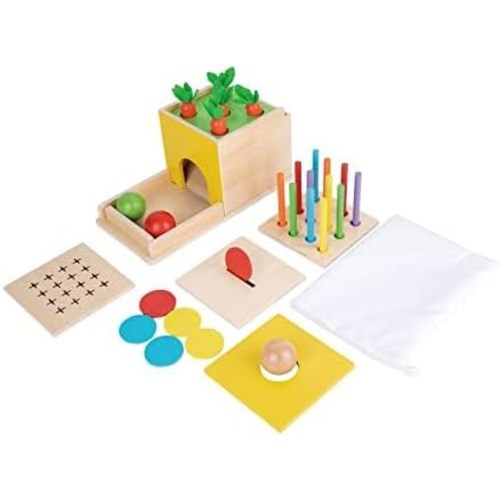 Adena Montessori 5 in 1 Wooden Montessori Play Kit Baby Toys,Object Permanence Box,Matchstick Color Drop,Cotton Swab Drop Game,Carrot Harvest and Coin Box for Kid 1 Year Old,Gift for Baby 6-12 Month