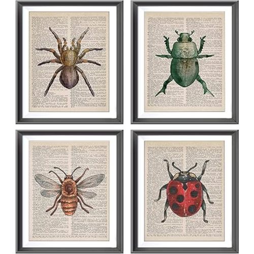 Vintage Honey Bee Spider Ladybug Beetle Dictionary Art Poster Prints for Home Kitchen Nursery Classroom Decor,Garden Forest Nature Insects Decorations Prints Wall Art Unframed 4pcs 8x10inches