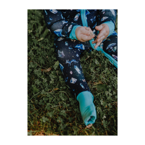 Celestial Nights - Zippy