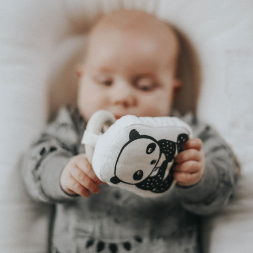 Wee Gallery Organic Teether - Panda