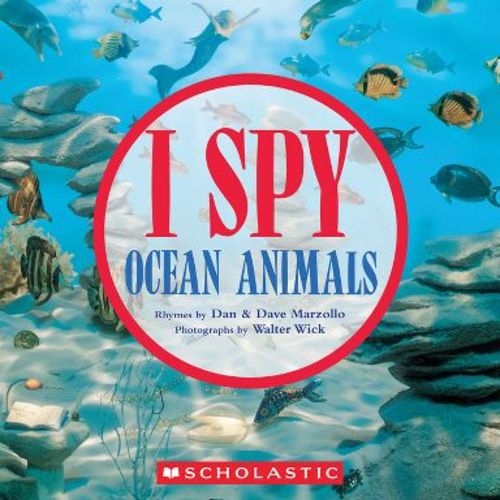 I Spy Ocean Animals - by Dan Marzollo & Dave Marzollo (Paperback)
