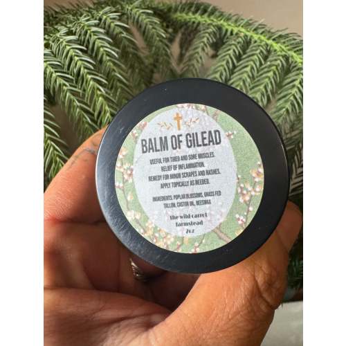 Balm of Gilead (2oz glass jar)