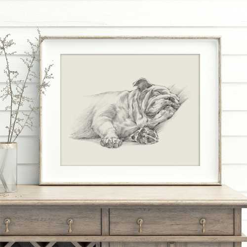 English Bulldog Fine Art Print - Detailed Vintage Style Bulldog Sketch by Artist Ethan Harper, Nursery & Home Decor, Dog Lover Art Gift