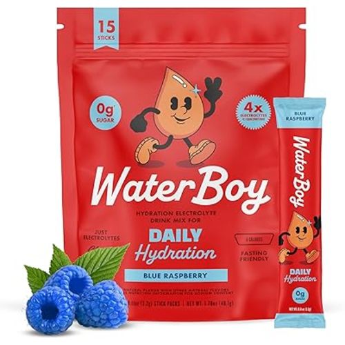 Waterboy Daily Hydration | 1,570mg Electrolyte Powder Packets | No Sugar, All Natural, Gluten Free, Zero Calories | 15 Drink Stick Mixes (Blue Raspberry)