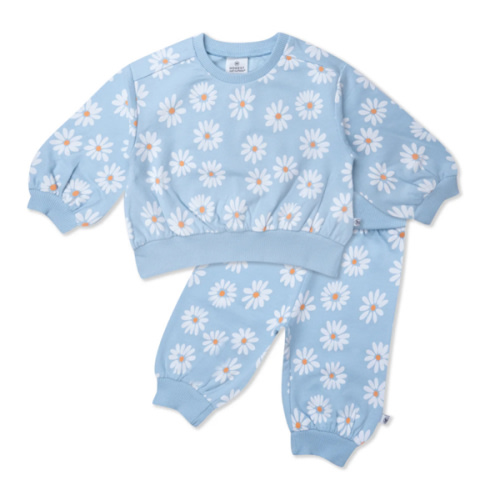 2-Piece Cozy Sweatsuit Set | Honest Baby Clothing
