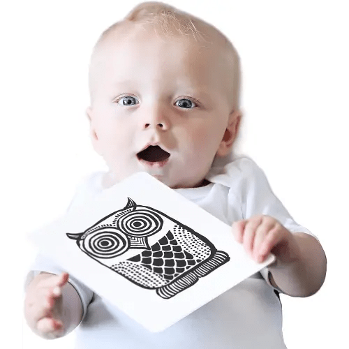 Wee Gallery Black and White Art Flash Cards for Babies, High Contrast Educational Animal Picture Cards, Baby Visual Stimulation, Brain and Memory Development in Infants and Toddlers - Original Animals