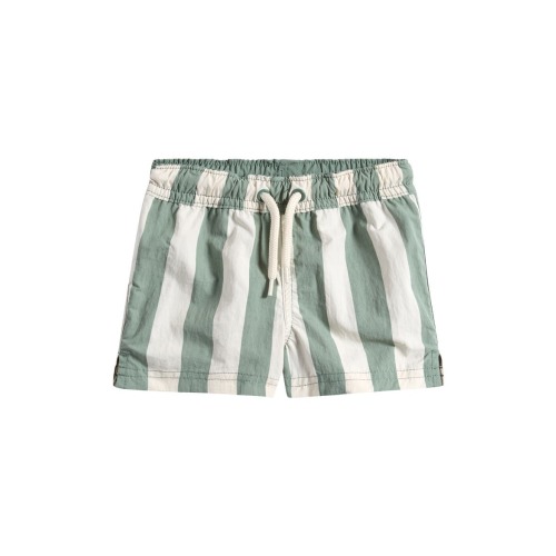 Stripe Swim Trunks