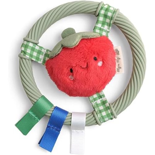 Itzy Ritzy Teething Ring (Tomato)