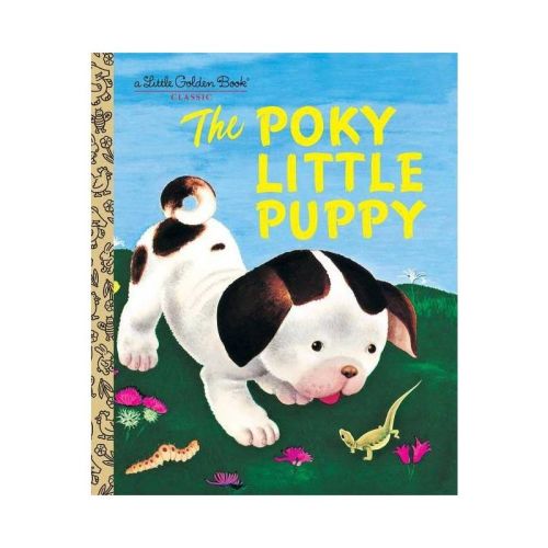 The Poky Little Puppy (Little Golden Book) - by Janette Sebring Lowery (Hardcover)