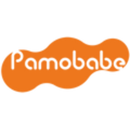 Pamo babe Lightweight Travel Crib, Portable and Easy to Carry Baby Pla – PAMO BABE