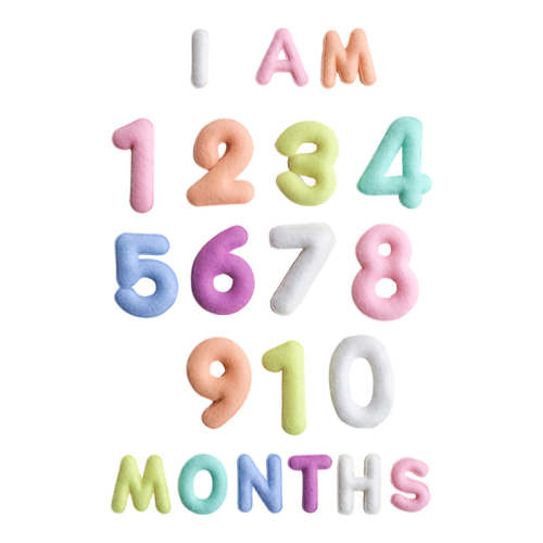 Milestone Felt Numbers in Pastel – Lucy Darling