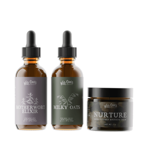 New Mama Bundle — Wild Oaks Apothecary