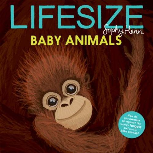 Lifesize Baby Animals book by Sophy Henn: 9781684644032