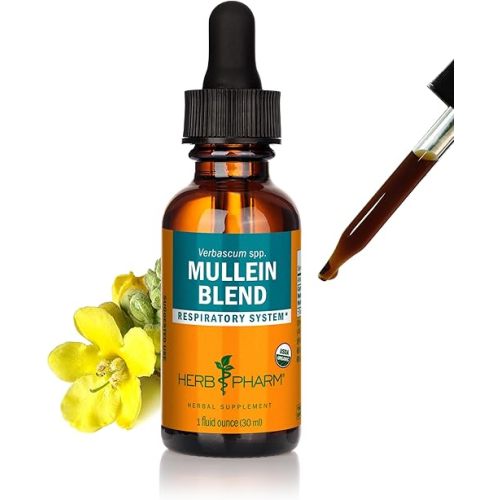 Herb Pharm Certified Organic Mullein Blend Liquid Extract for Respiratory System Support - 1 Ounce