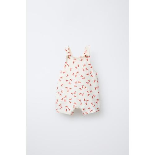 LOBSTER OVERALL SHORTS - Light ecru | ZARA Canada