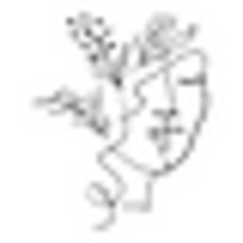 For The Body | Y H L The Mind & Body Boutique