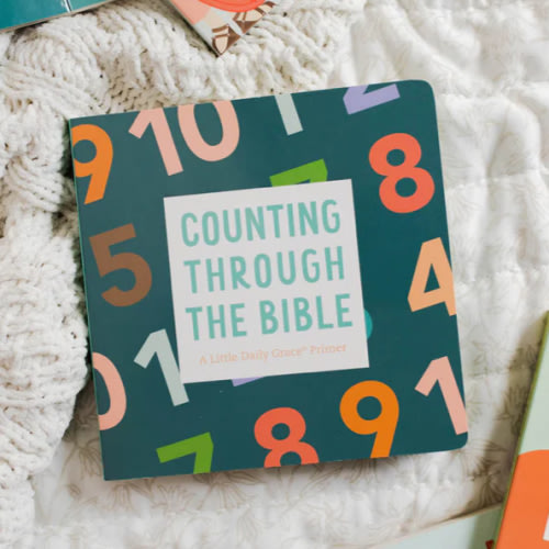Counting Through the Bible Board Book