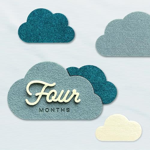 Cloud Baby Monthly Milestone Signs, First Year Photo Prop Cards, Newborn Birth Announcement, Growth Tracking, Gender Neutral Baby Shower, Newborn Baby Gift, Pregnancy Journey and Baby Gift