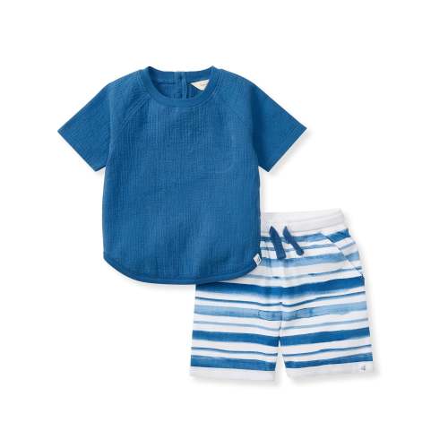 Watercolor Stripes Boy Top & Shorts Set – Burt's Bees Baby
