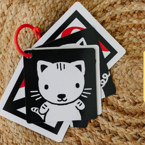 The Original, High Contrast (Black, White, Red) Flashcards for Baby – Genius Babies Toys