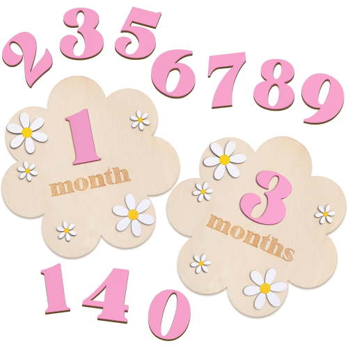 3D Wooden Daisy Baby Monthly Milestone Sign Cards 1-12 Months Interchangeable Monthly Milestone Wood Discs Announcement Sign for Baby Shower Newborn Photo Props Gifts(Pink)