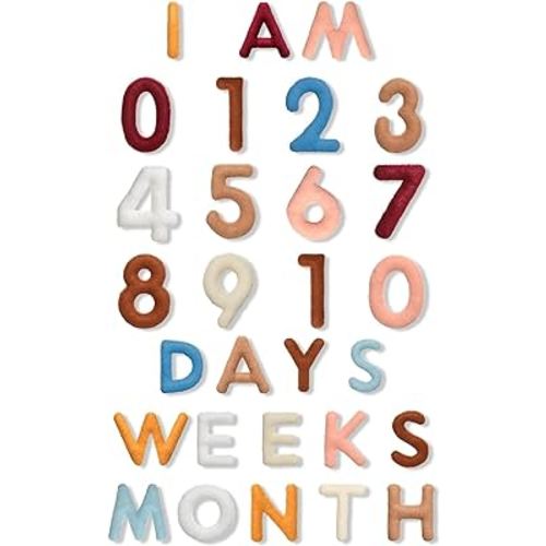 29 Pcs Felt Baby Monthly Milestone Decor Numbers and Letters Newborn Birth Photography Props, 1-12 Months Milestone Number Sign Decor for Toddler Boy or Girl Baby Shower Gifts(Boho Color)
