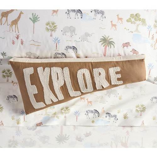 Explore Pillow